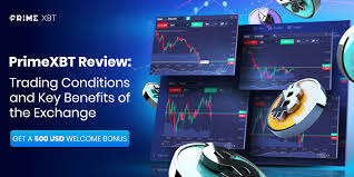 Unlocking Trading Potential with the PrimeXBT Bonus