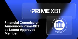 The Ultimate Guide to PrimeXBT Forex Trading 3